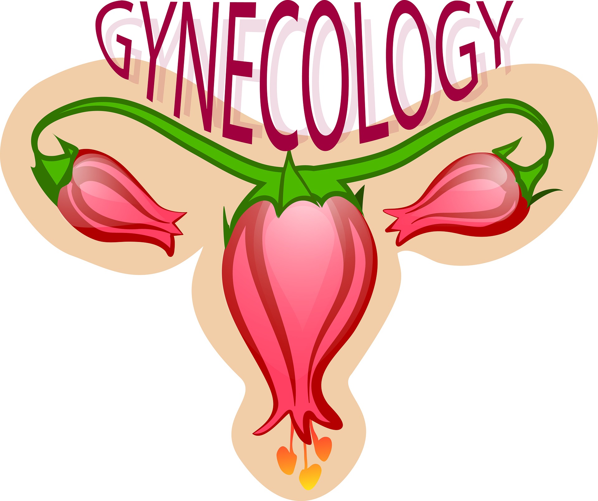 GYNAECOLOGY/OBS